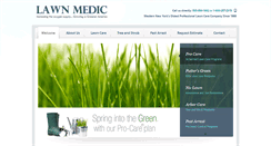 Desktop Screenshot of lawnmedic.net