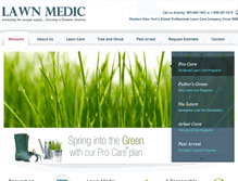 Tablet Screenshot of lawnmedic.net
